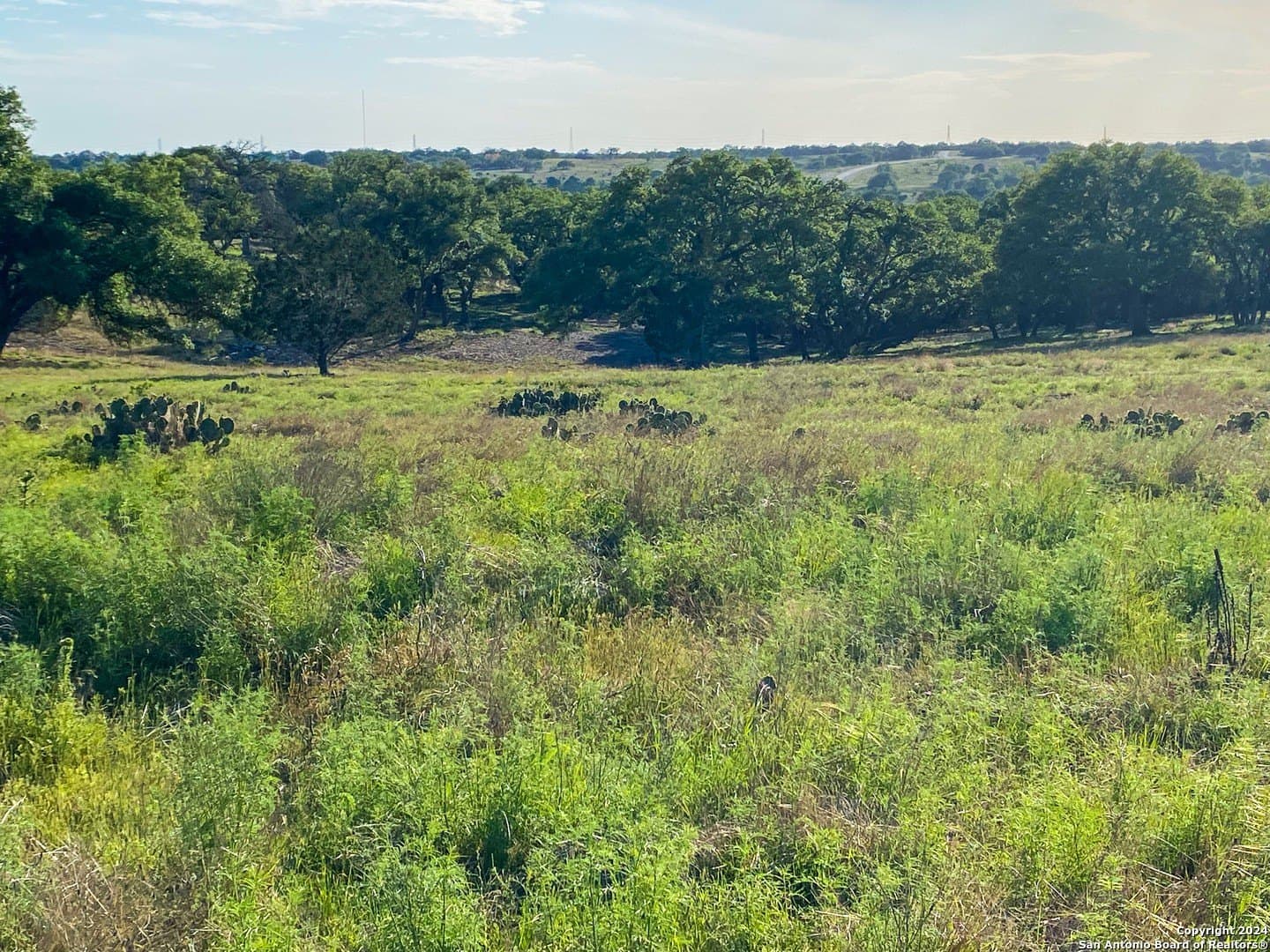 4.32 acres in Gillespie County - photo 8