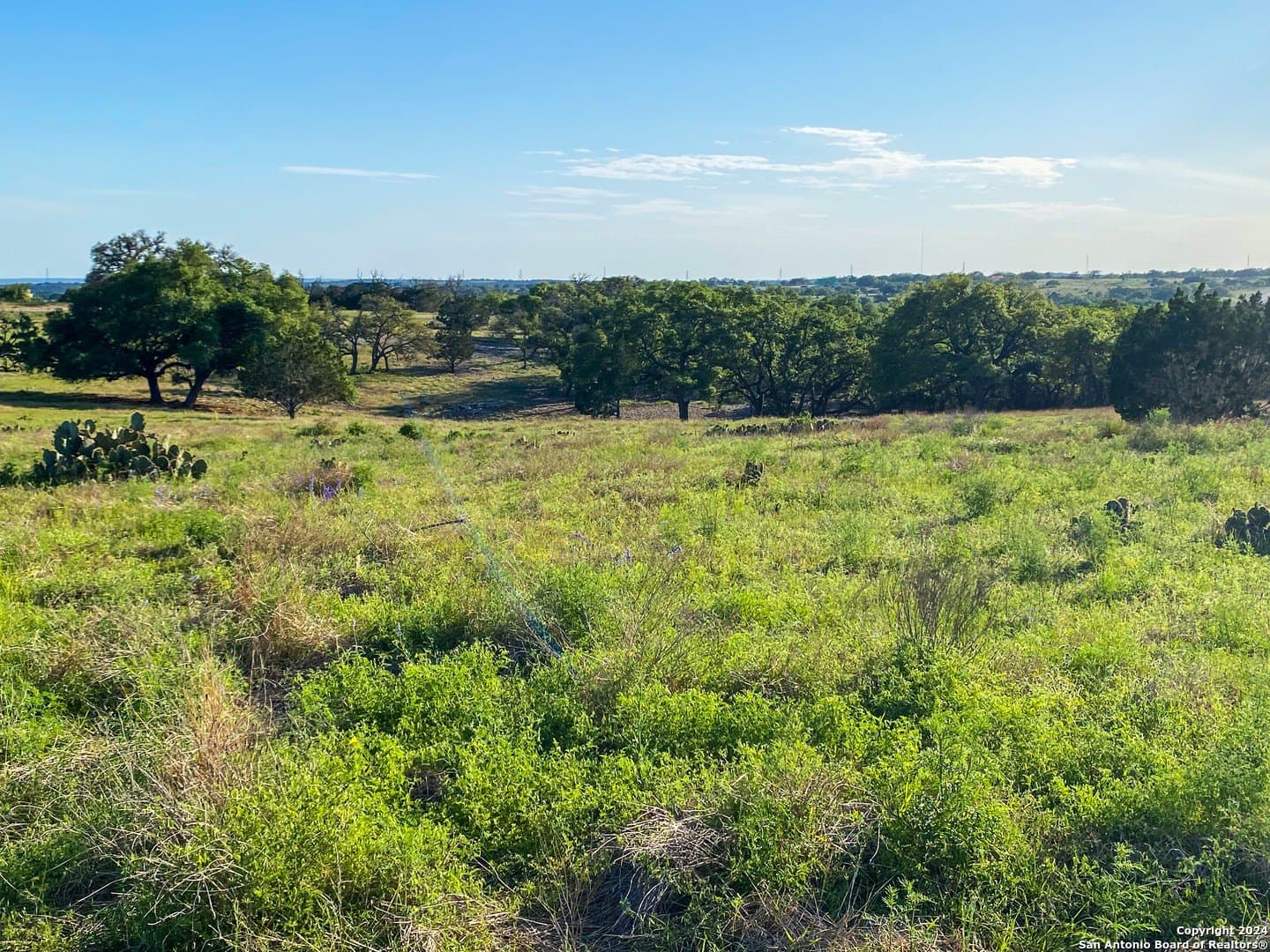 4.32 acres in Gillespie County - photo 7