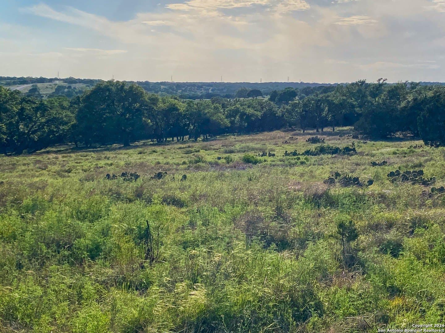 4.32 acres in Gillespie County - photo 10