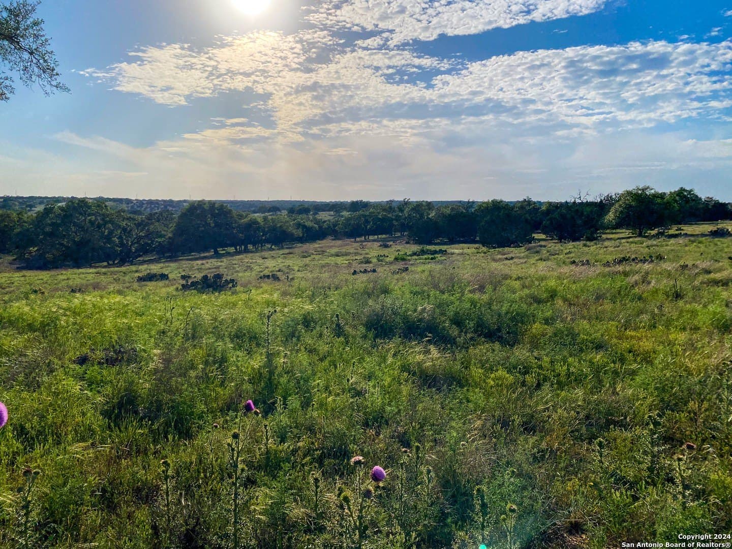 4.32 acres in Gillespie County featured view