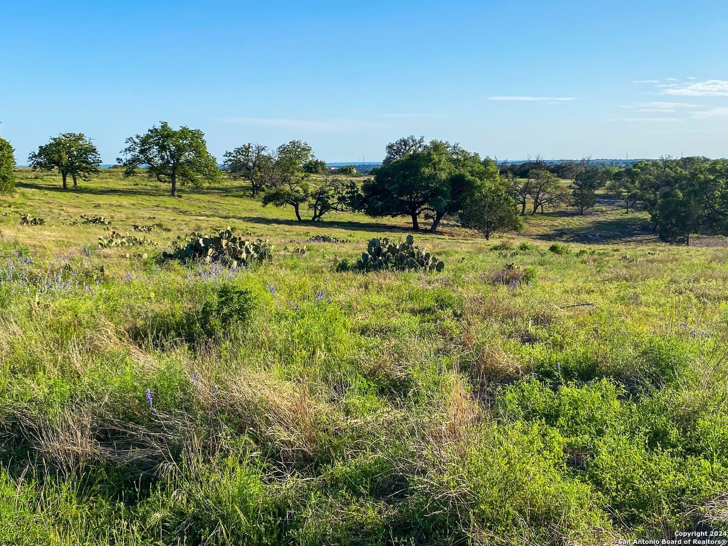 4.32 acres in Gillespie County - photo 13