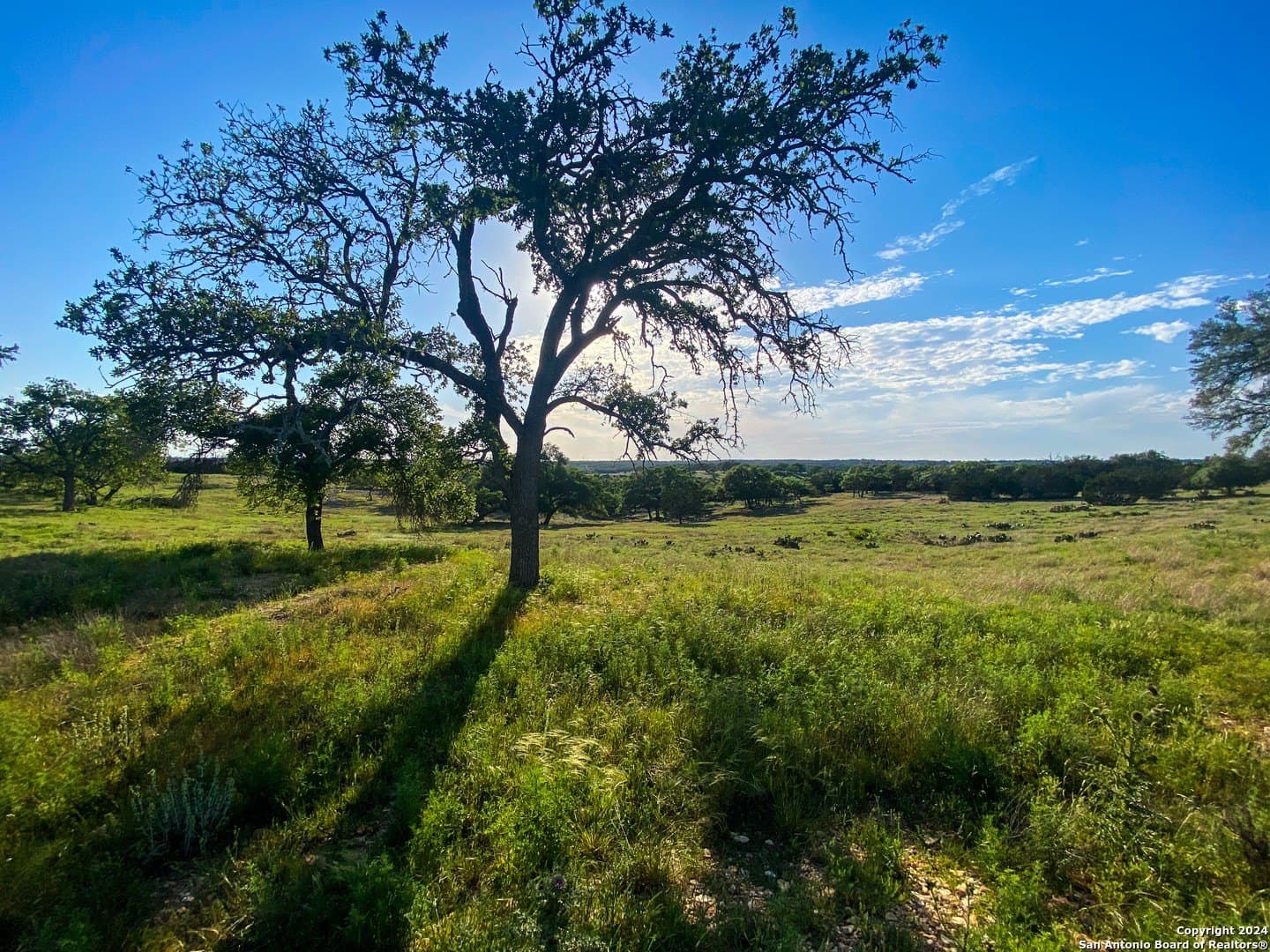 4.32 acres in Gillespie County - photo 6