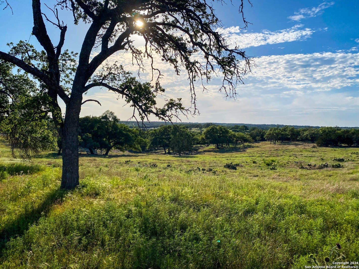4.32 acres in Gillespie County - photo 9