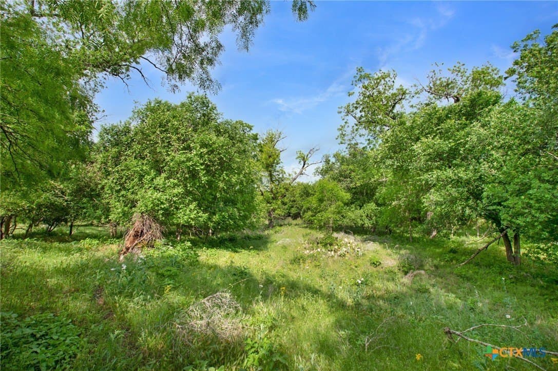 20 acres in Lampasas County - photo 8