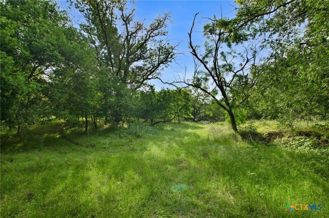 20 acres in Lampasas County - photo 9
