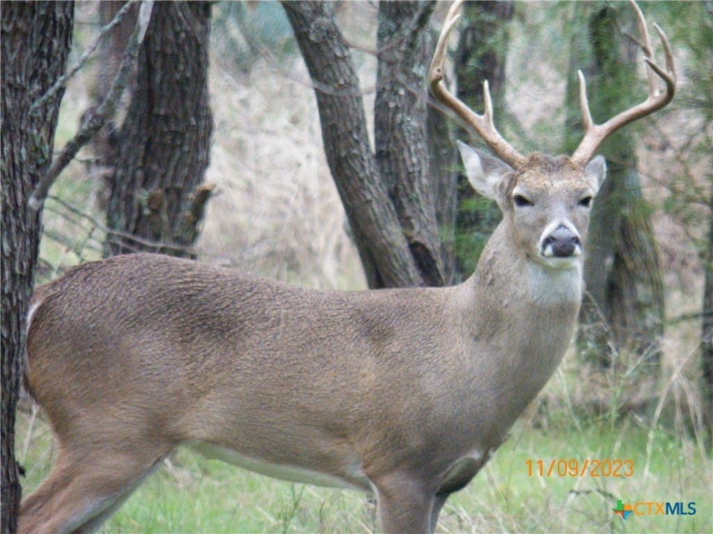 20 acres in Lampasas County - photo 21