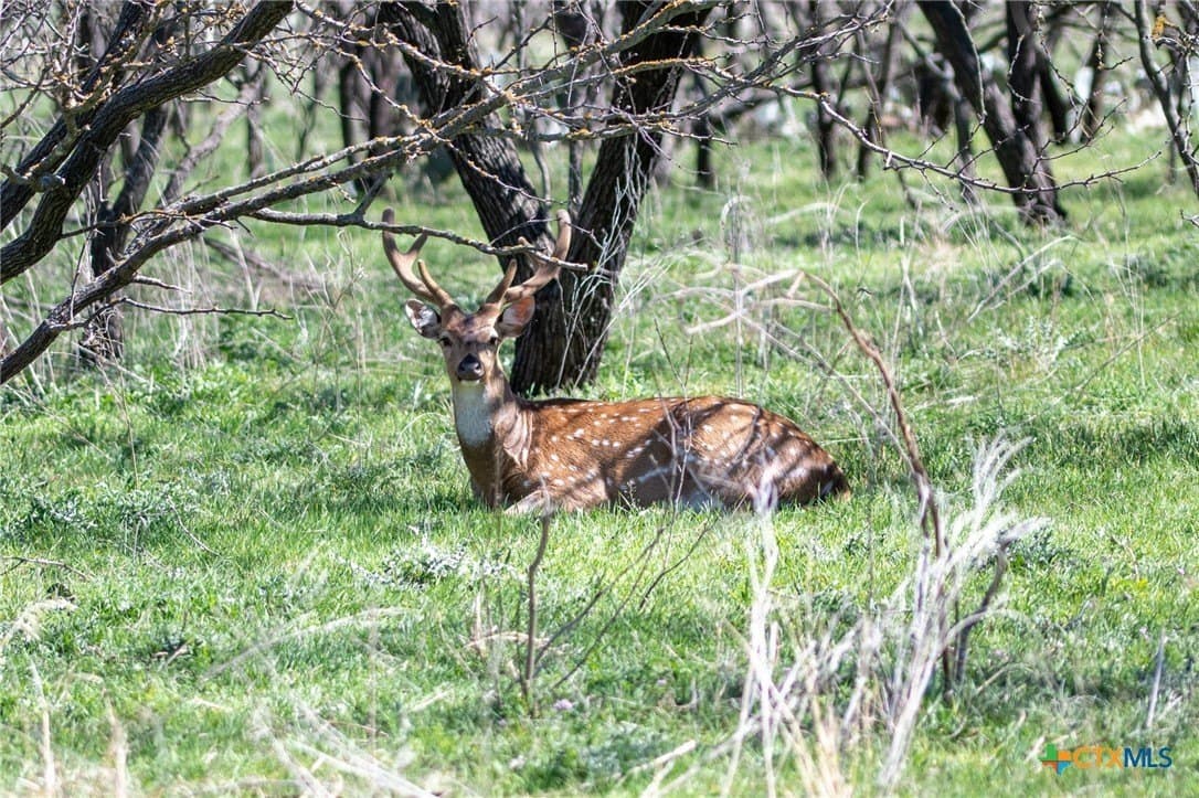 20 acres in Lampasas County - photo 15