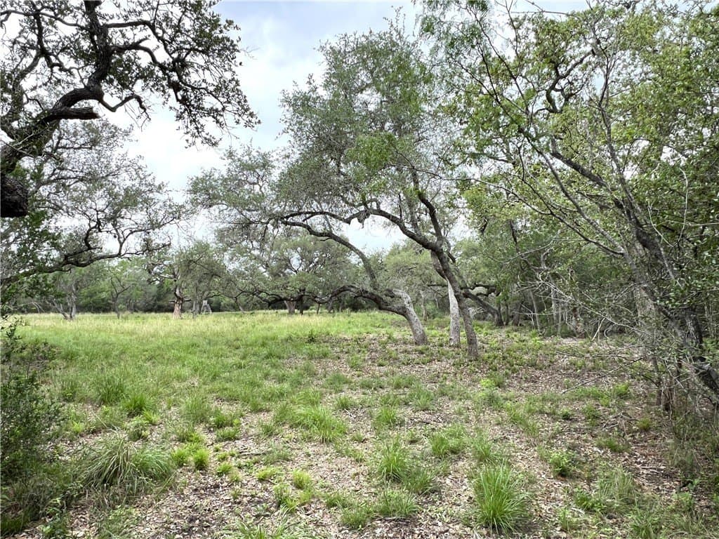 15.5 acres in DeWitt County - photo 28