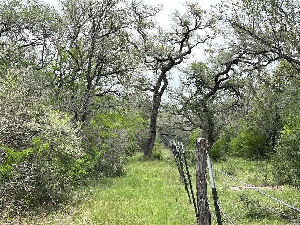 15.5 acres in DeWitt County - photo 14