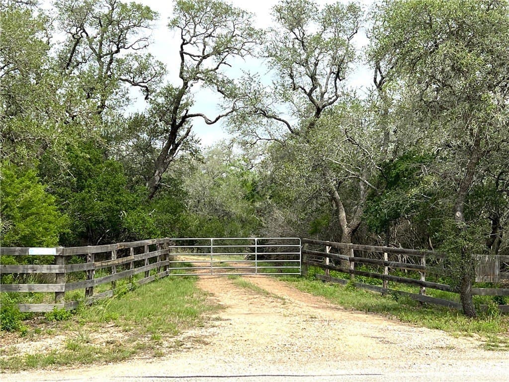 15.5 acres in DeWitt County - photo 6