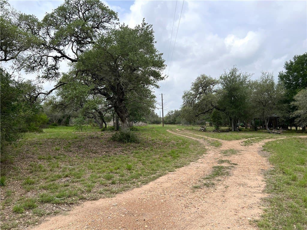 15.5 acres in DeWitt County - photo 15