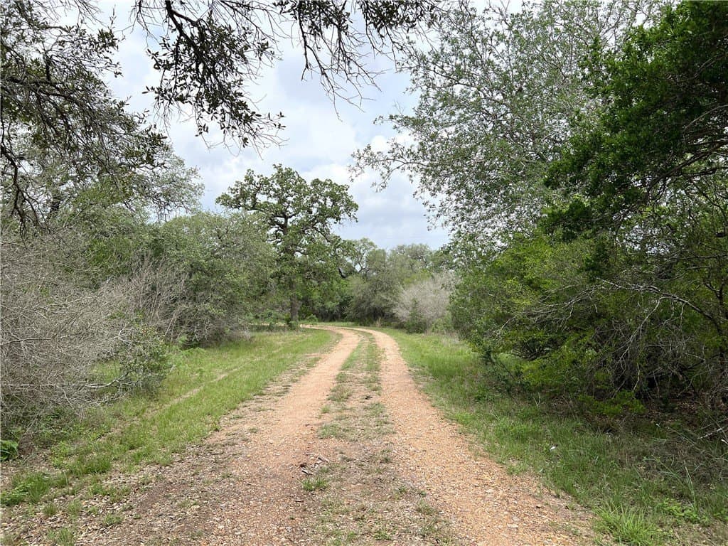 15.5 acres in DeWitt County - photo 11