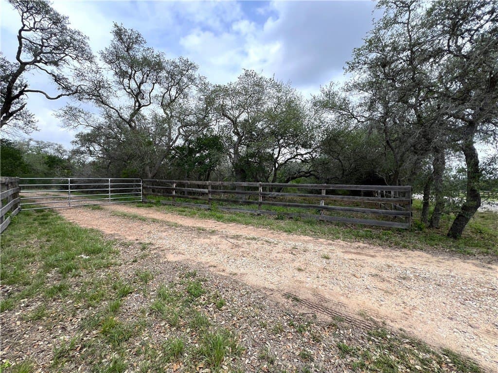 15.5 acres in DeWitt County - photo 7