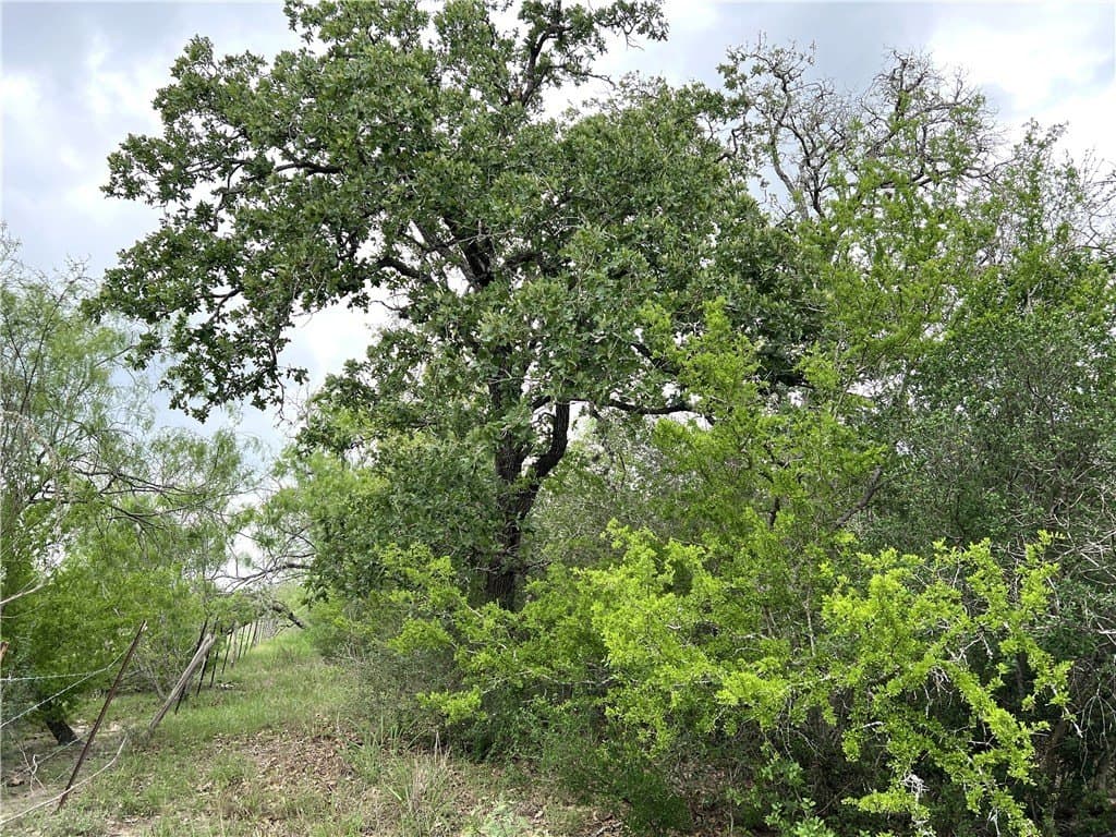 15.5 acres in DeWitt County - photo 37