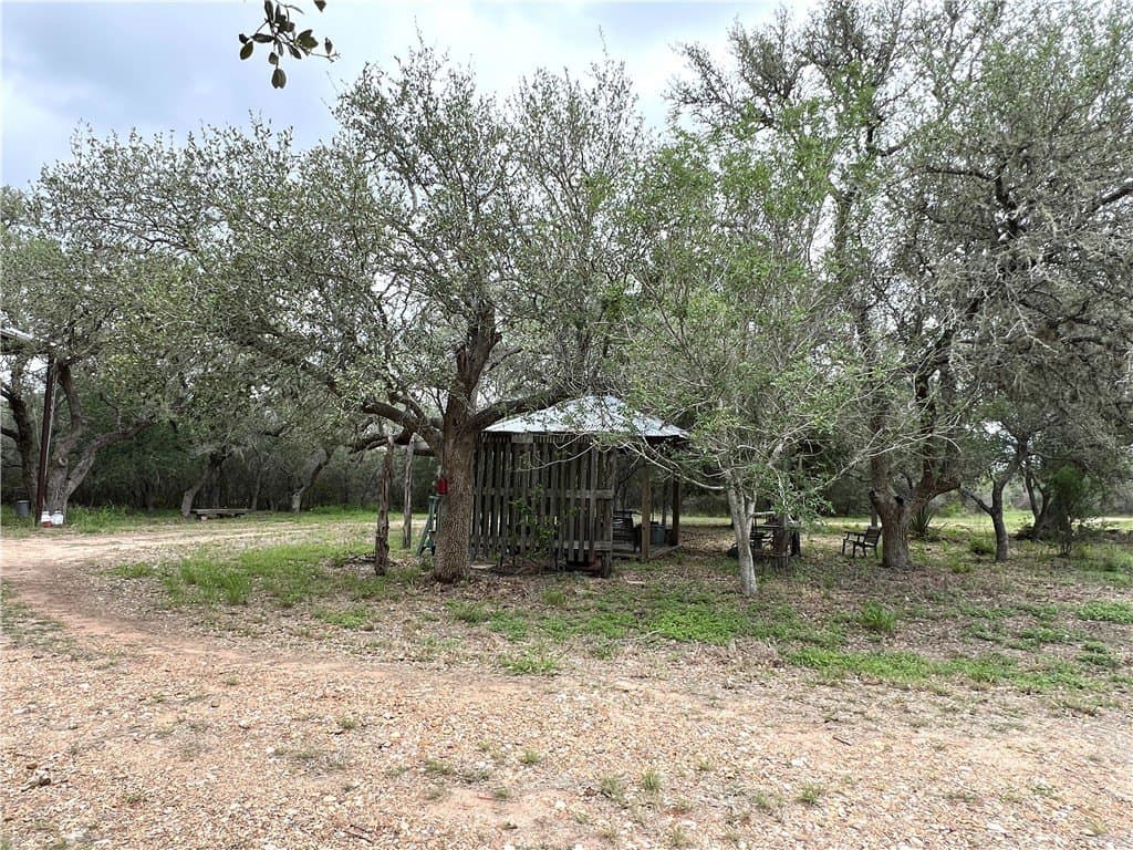 15.5 acres in DeWitt County - photo 19