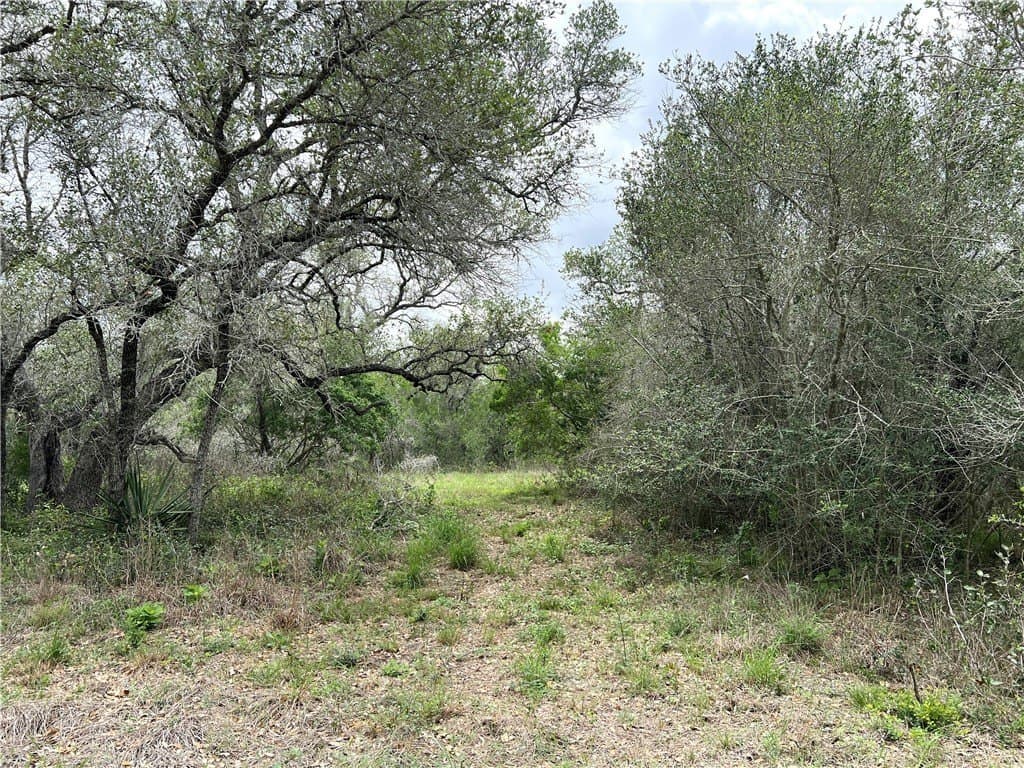 15.5 acres in DeWitt County - photo 27