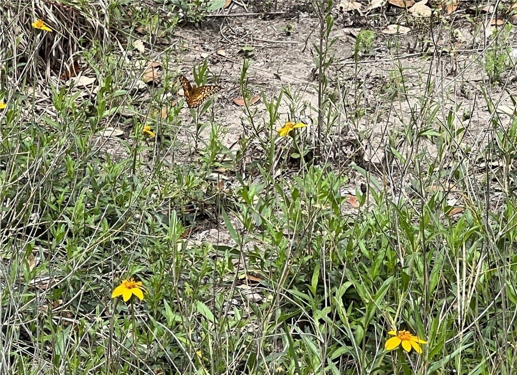 15.5 acres in DeWitt County - photo 39