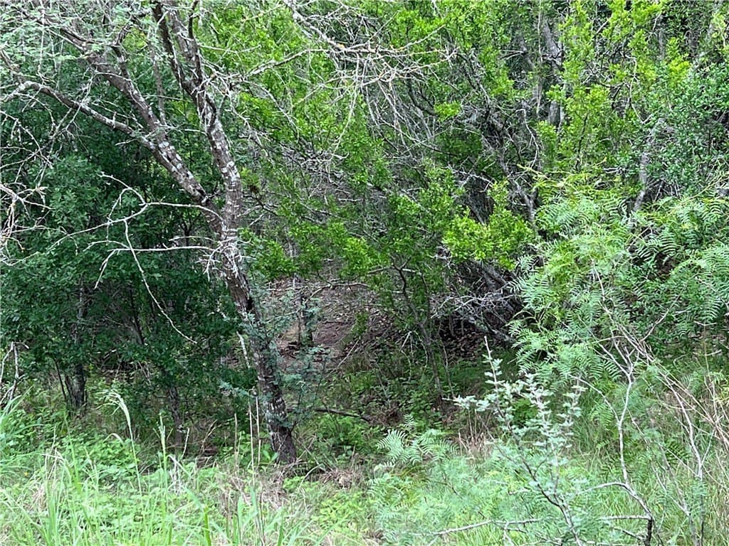 15.5 acres in DeWitt County - photo 35