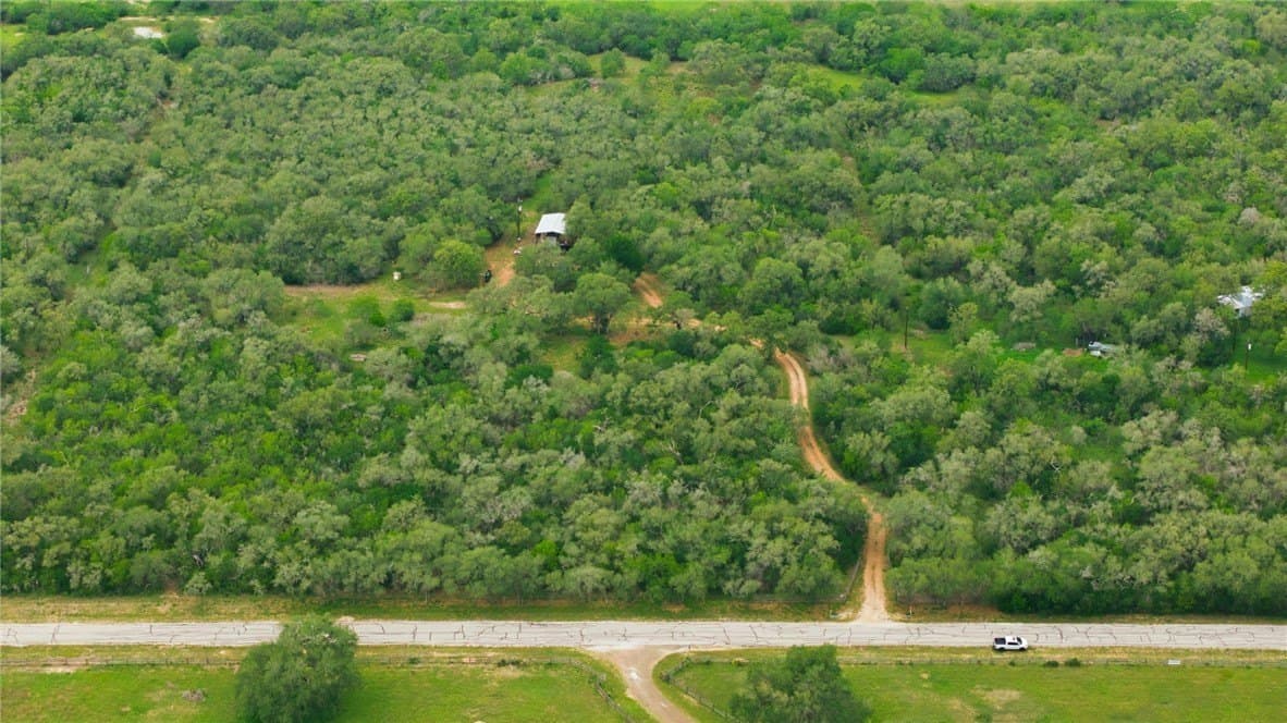 15.5 acres in DeWitt County featured view
