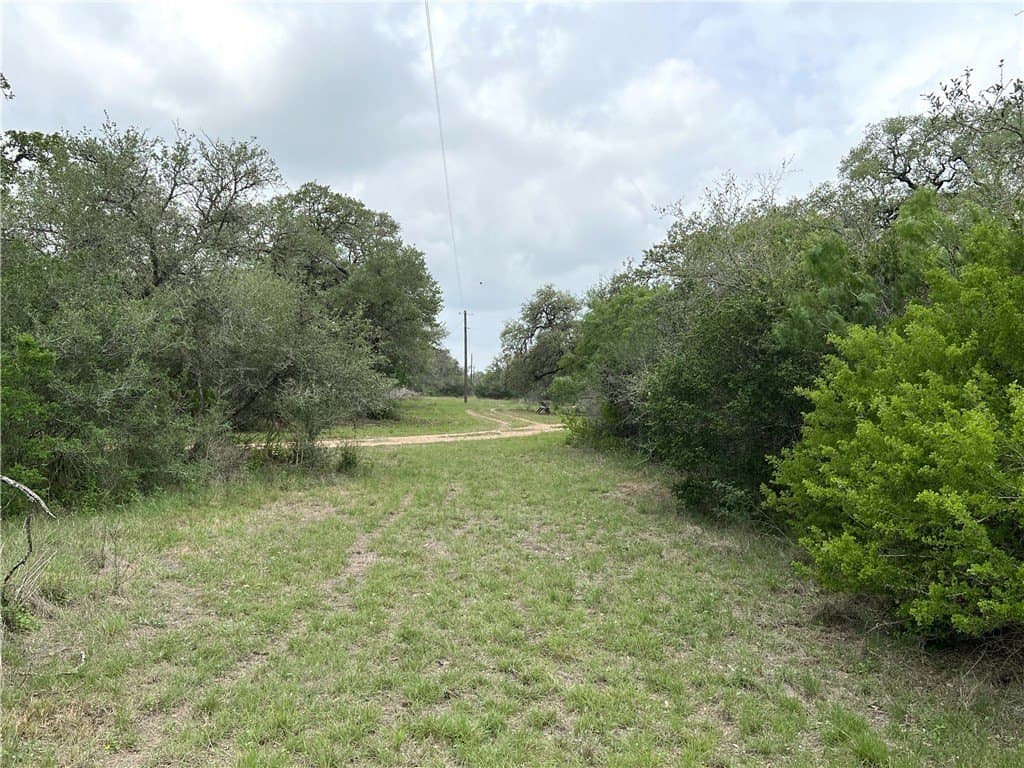 15.5 acres in DeWitt County - photo 13