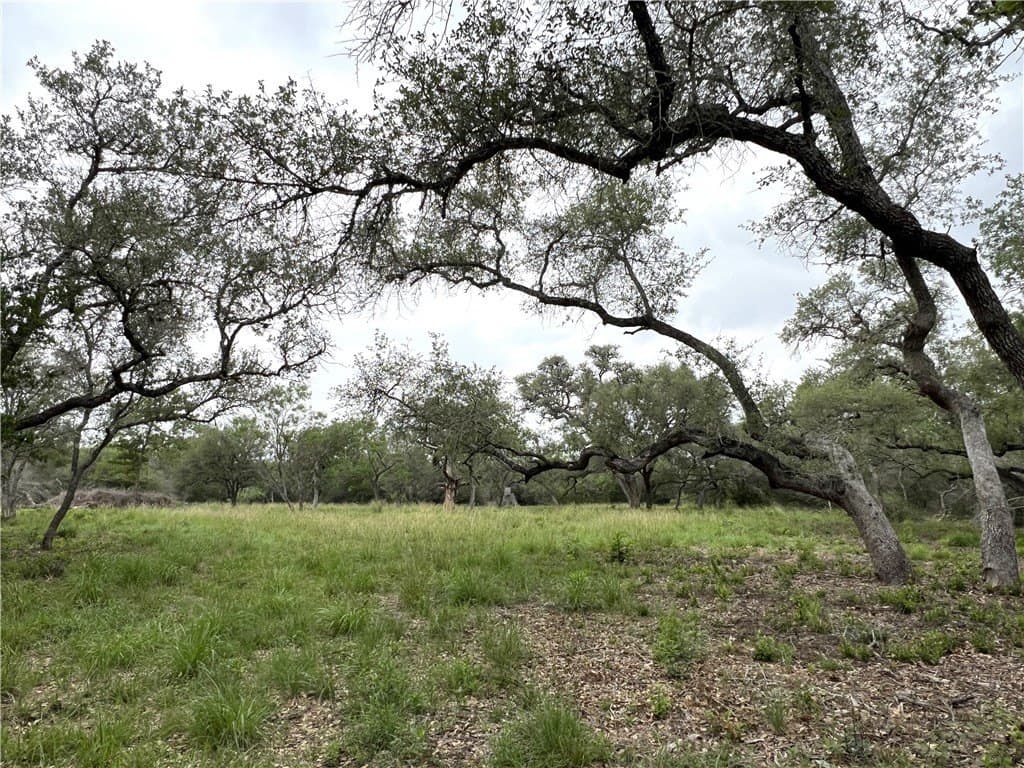 15.5 acres in DeWitt County - photo 30