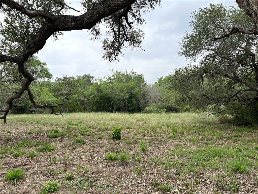 15.5 acres in DeWitt County - photo 33