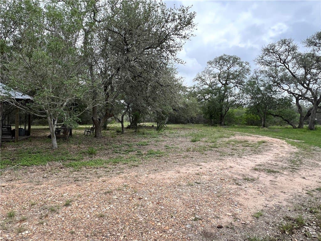 15.5 acres in DeWitt County - photo 18