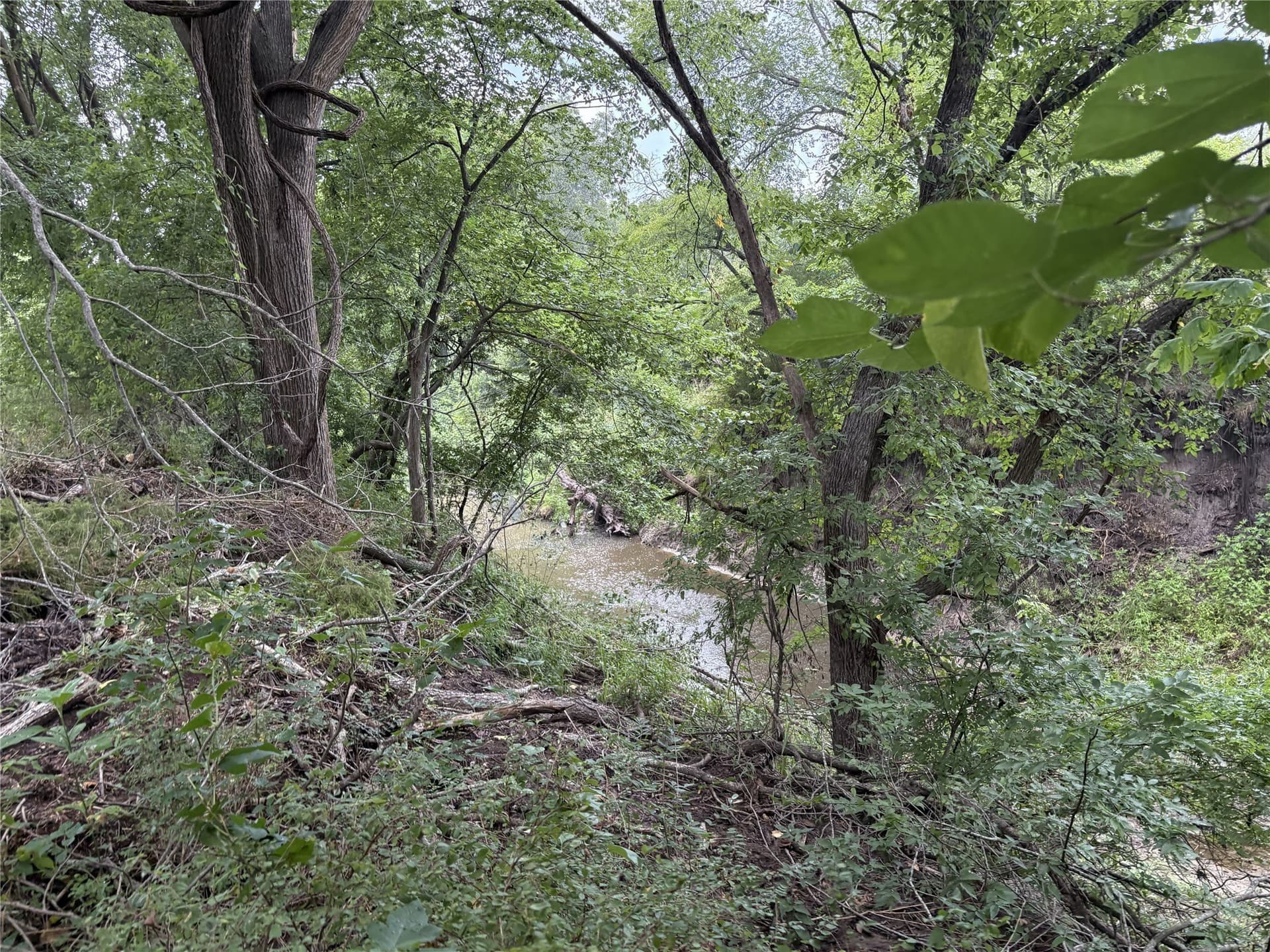 8.08 acres in Navarro County - photo 12