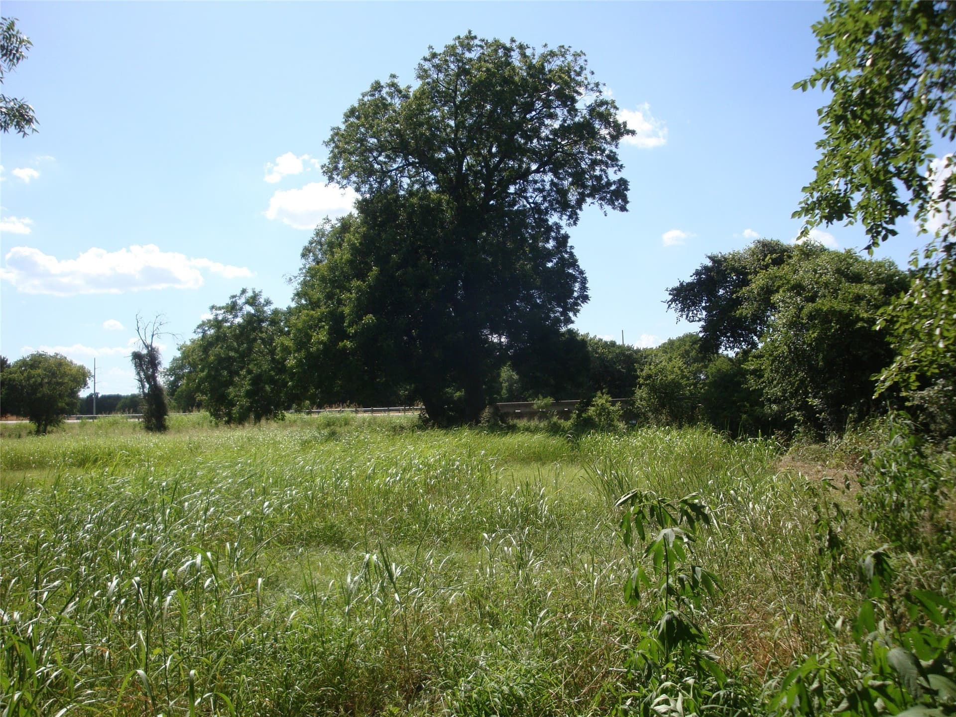 8.08 acres in Navarro County - photo 17