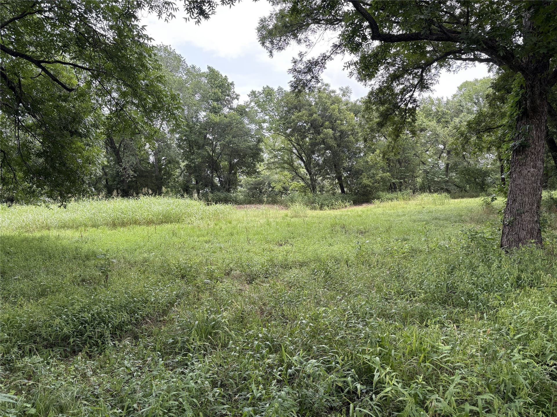 8.08 acres in Navarro County - photo 8