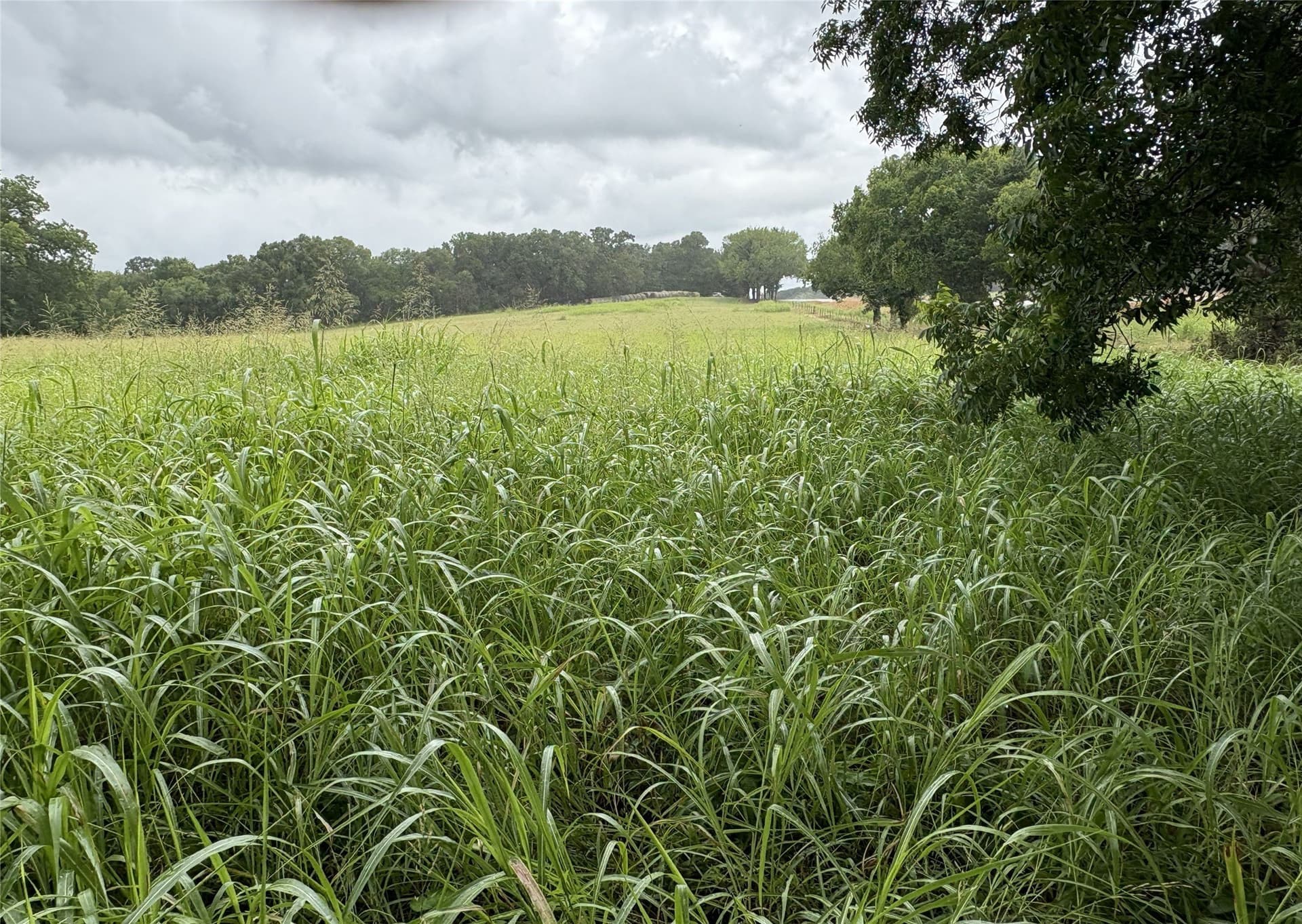 8.08 acres in Navarro County - photo 14
