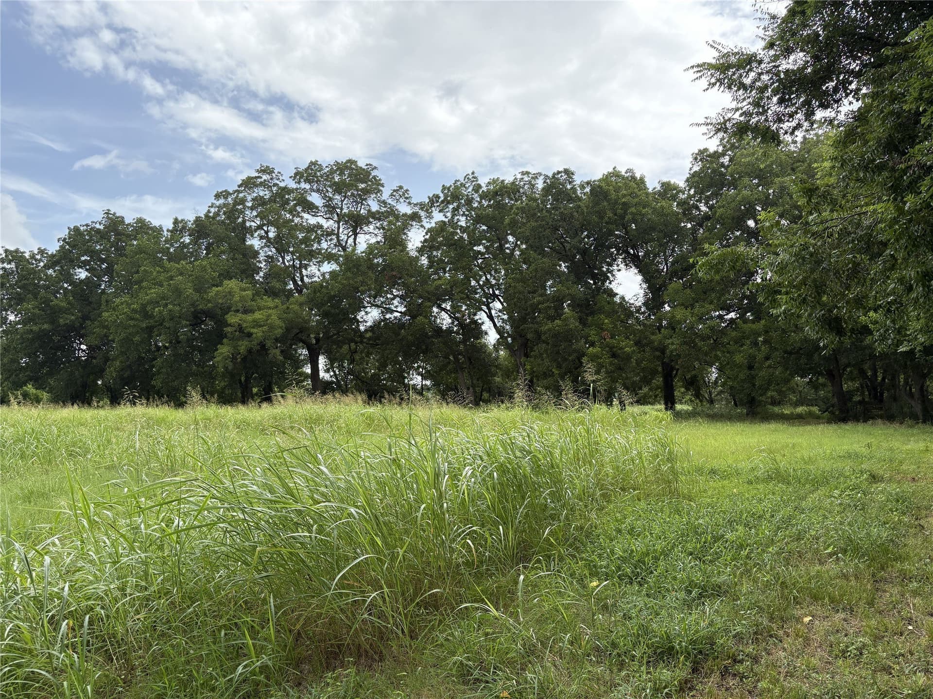 8.08 acres in Navarro County - photo 7
