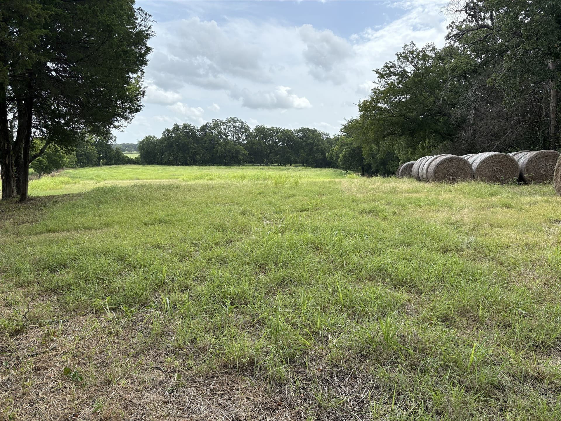 8.08 acres in Navarro County - photo 4