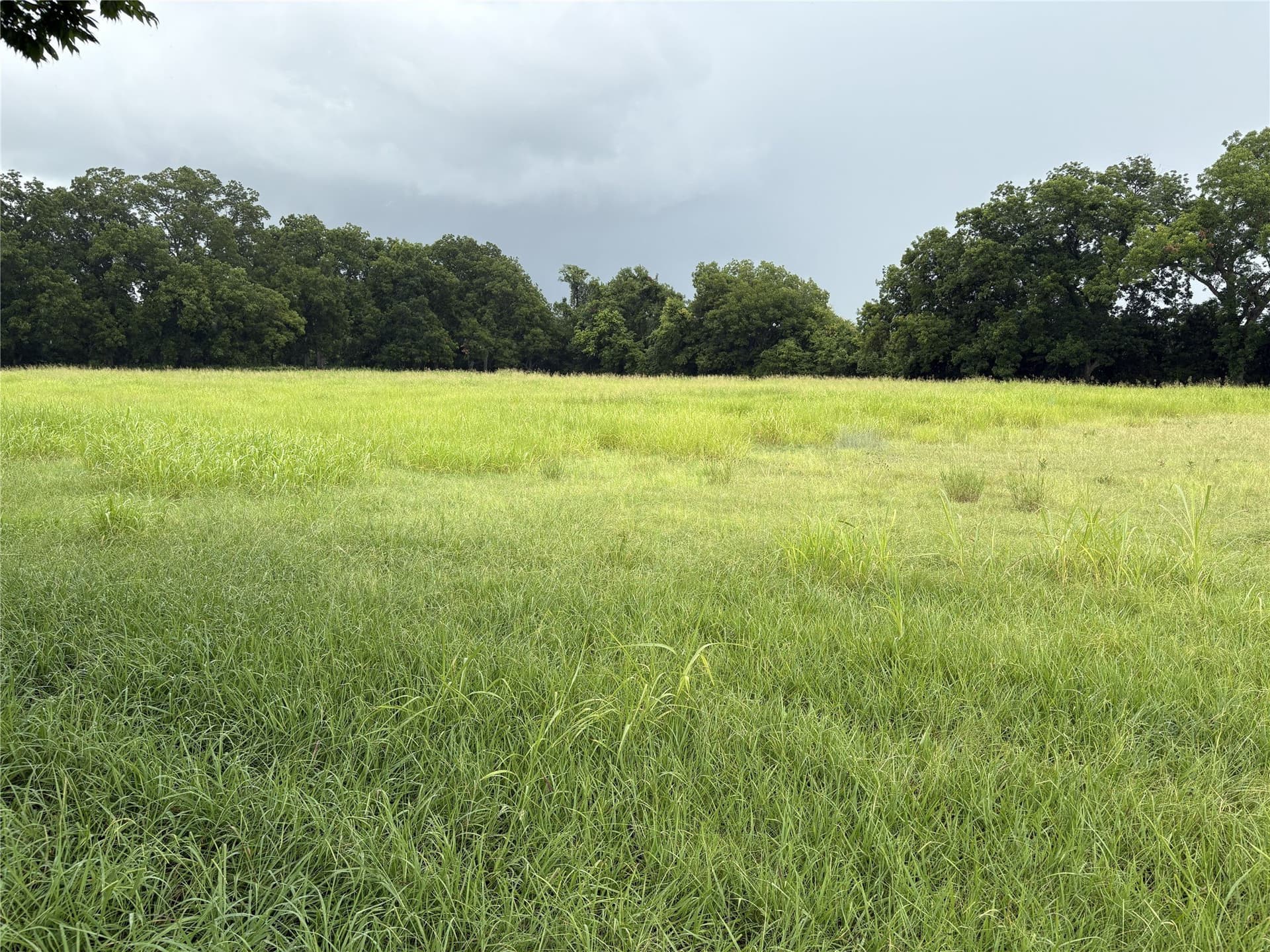 8.08 acres in Navarro County - photo 16