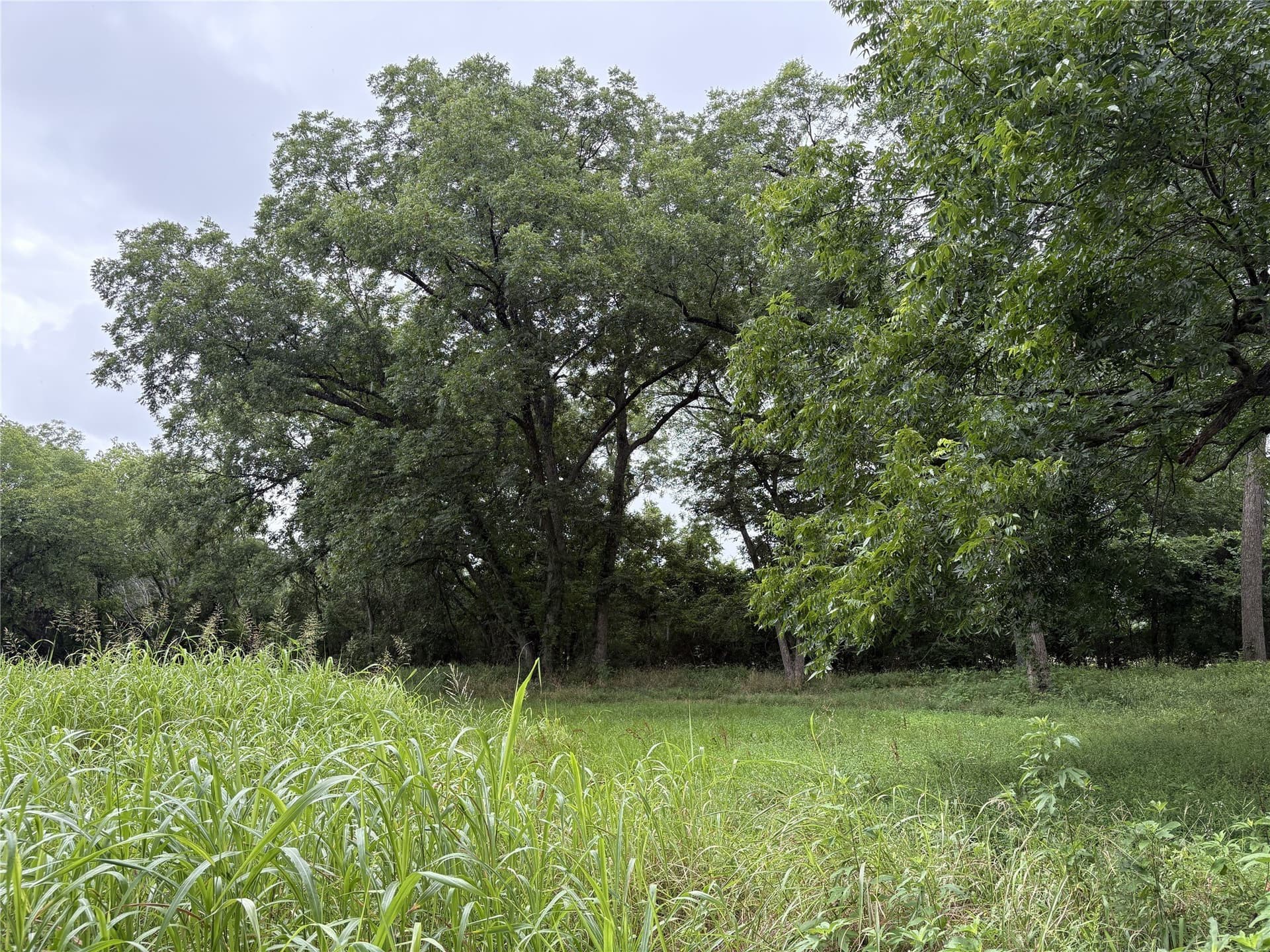 8.08 acres in Navarro County - photo 9