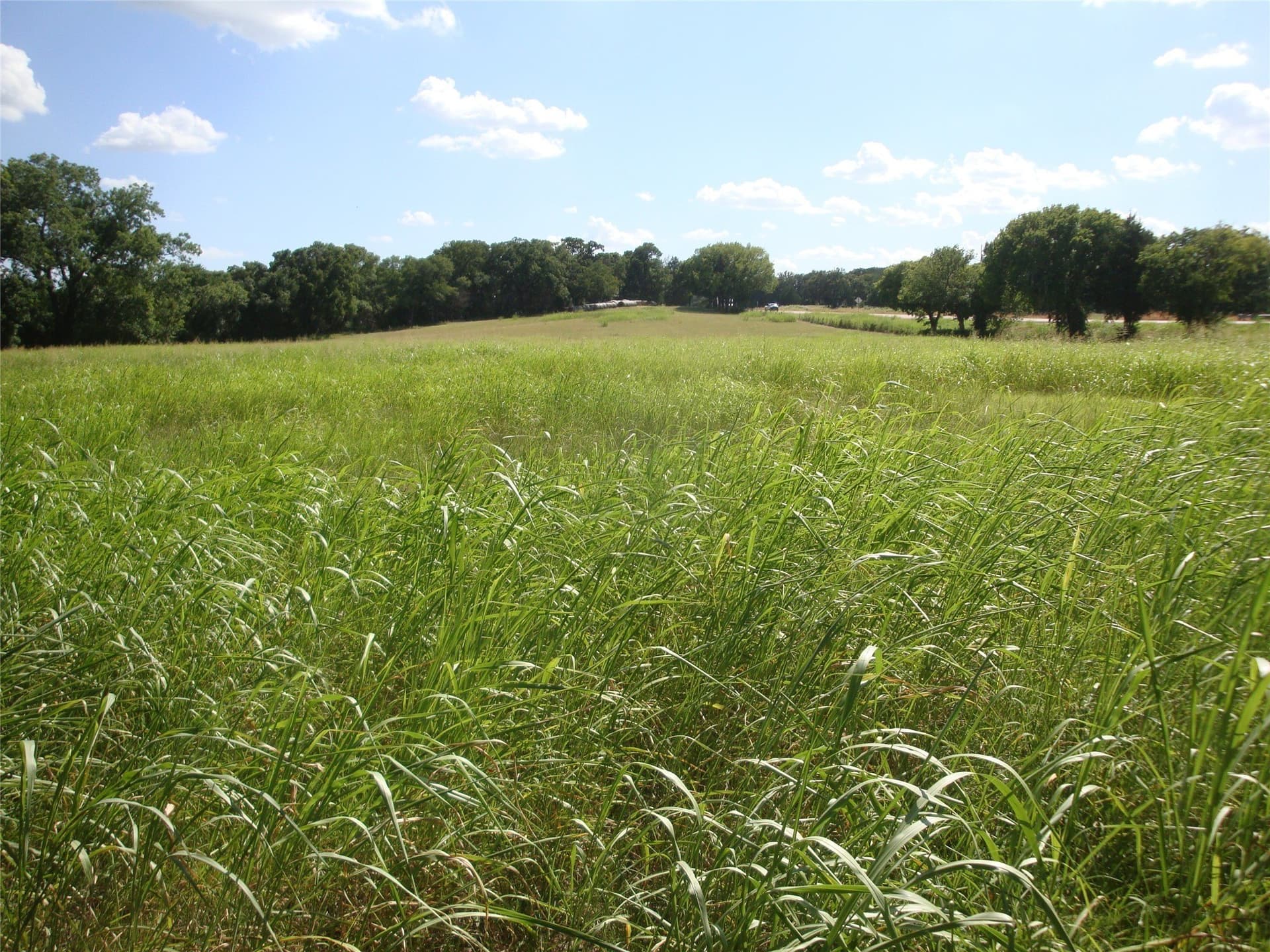 8.08 acres in Navarro County - photo 18