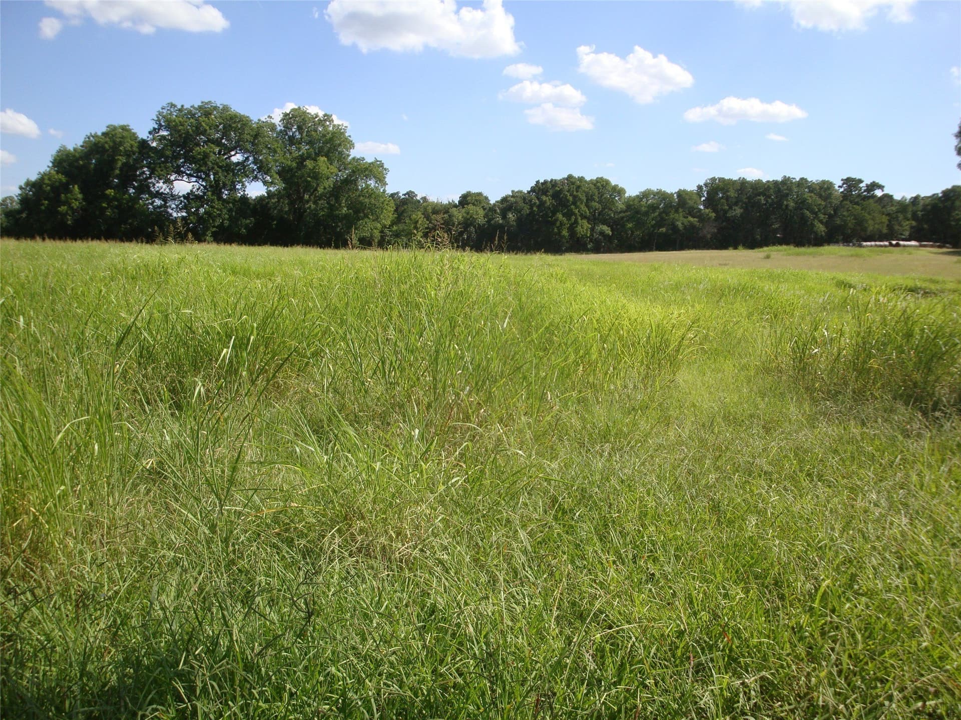 8.08 acres in Navarro County - photo 20