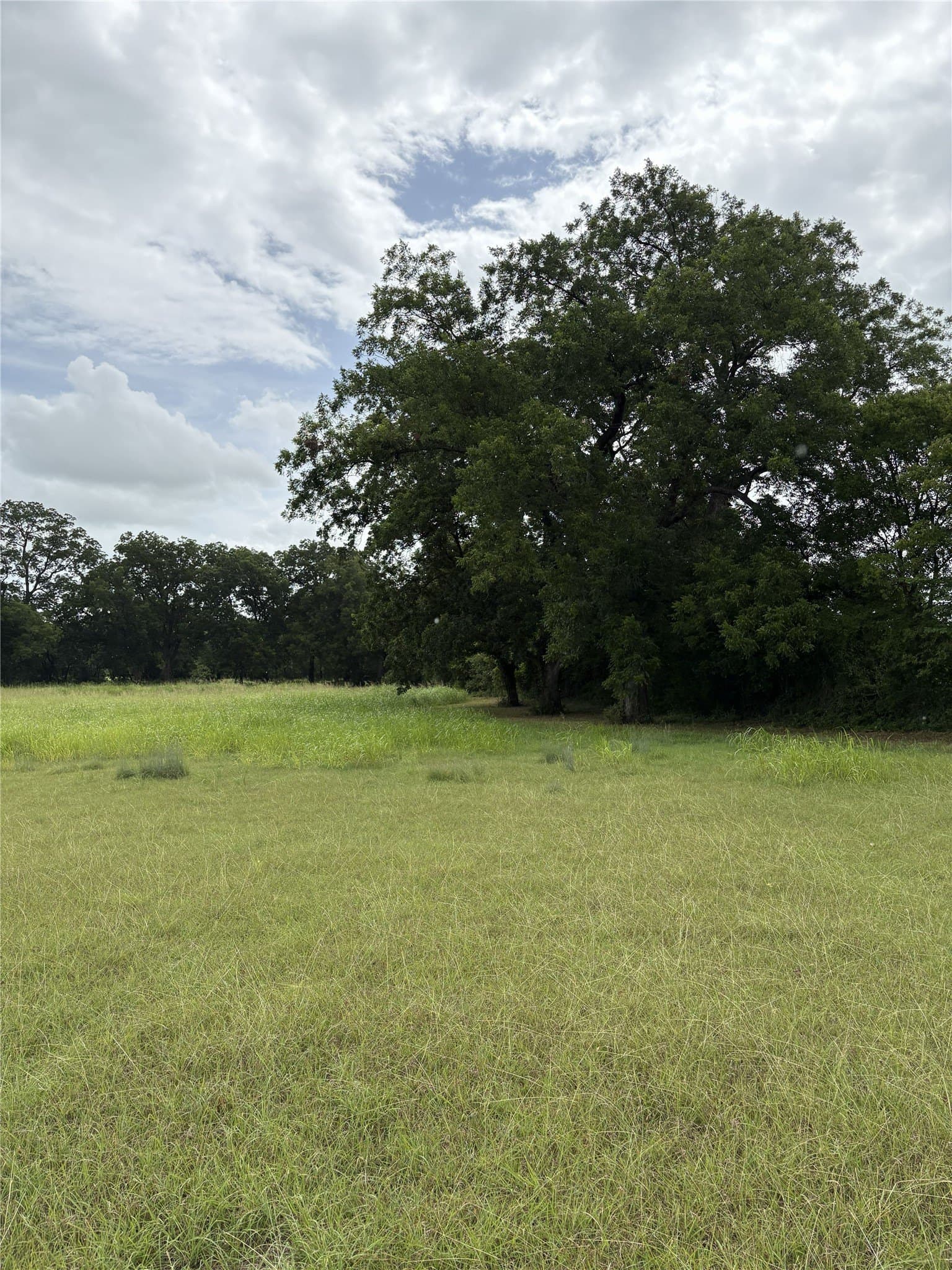 8.08 acres in Navarro County - photo 6