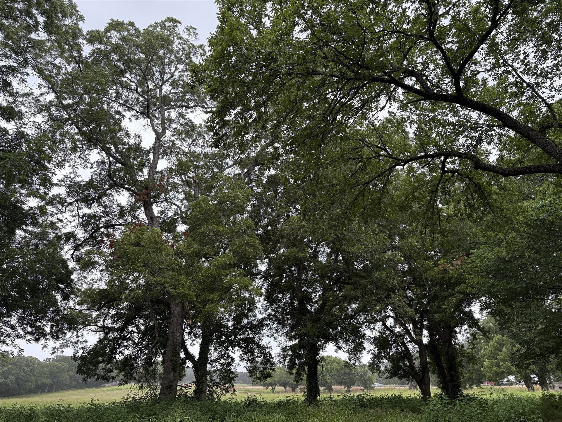 8.08 acres in Navarro County - photo 10