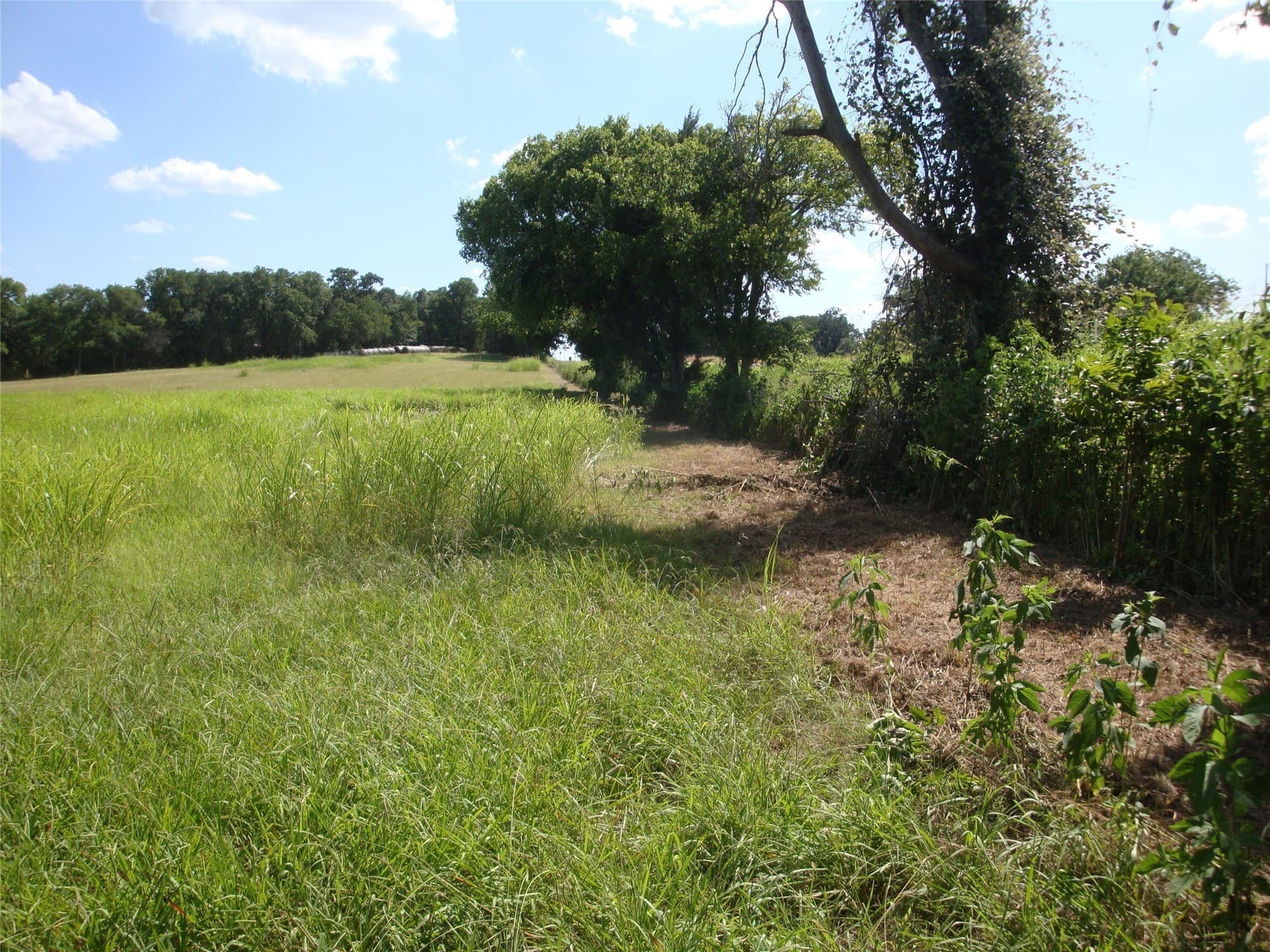 8.08 acres in Navarro County - photo 19