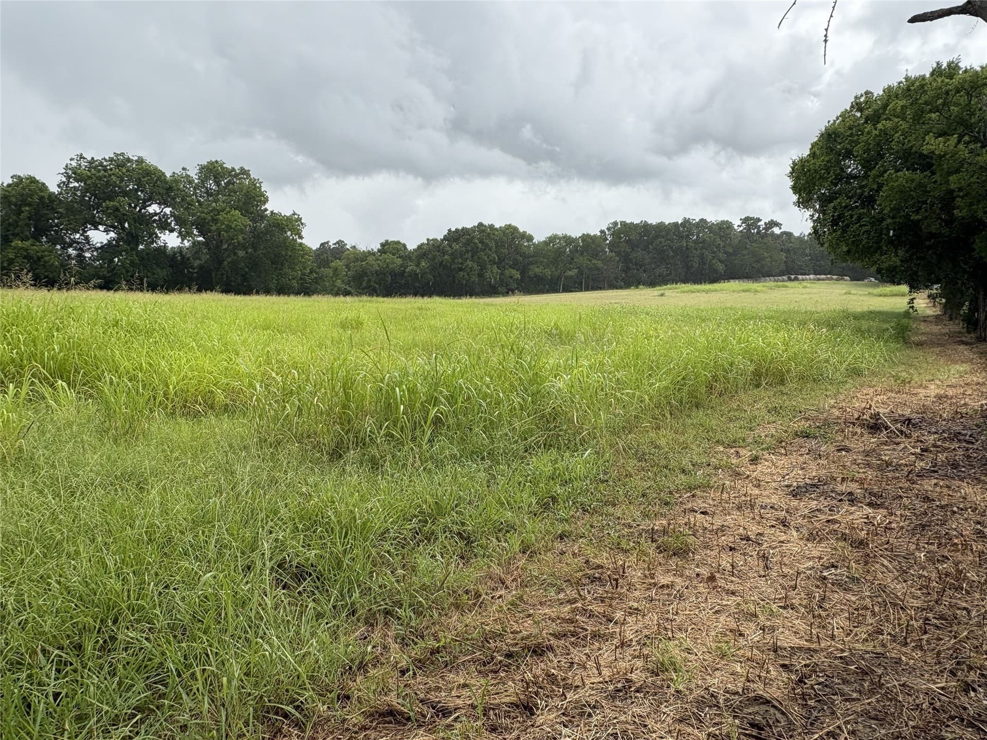 8.08 acres in Navarro County - photo 15