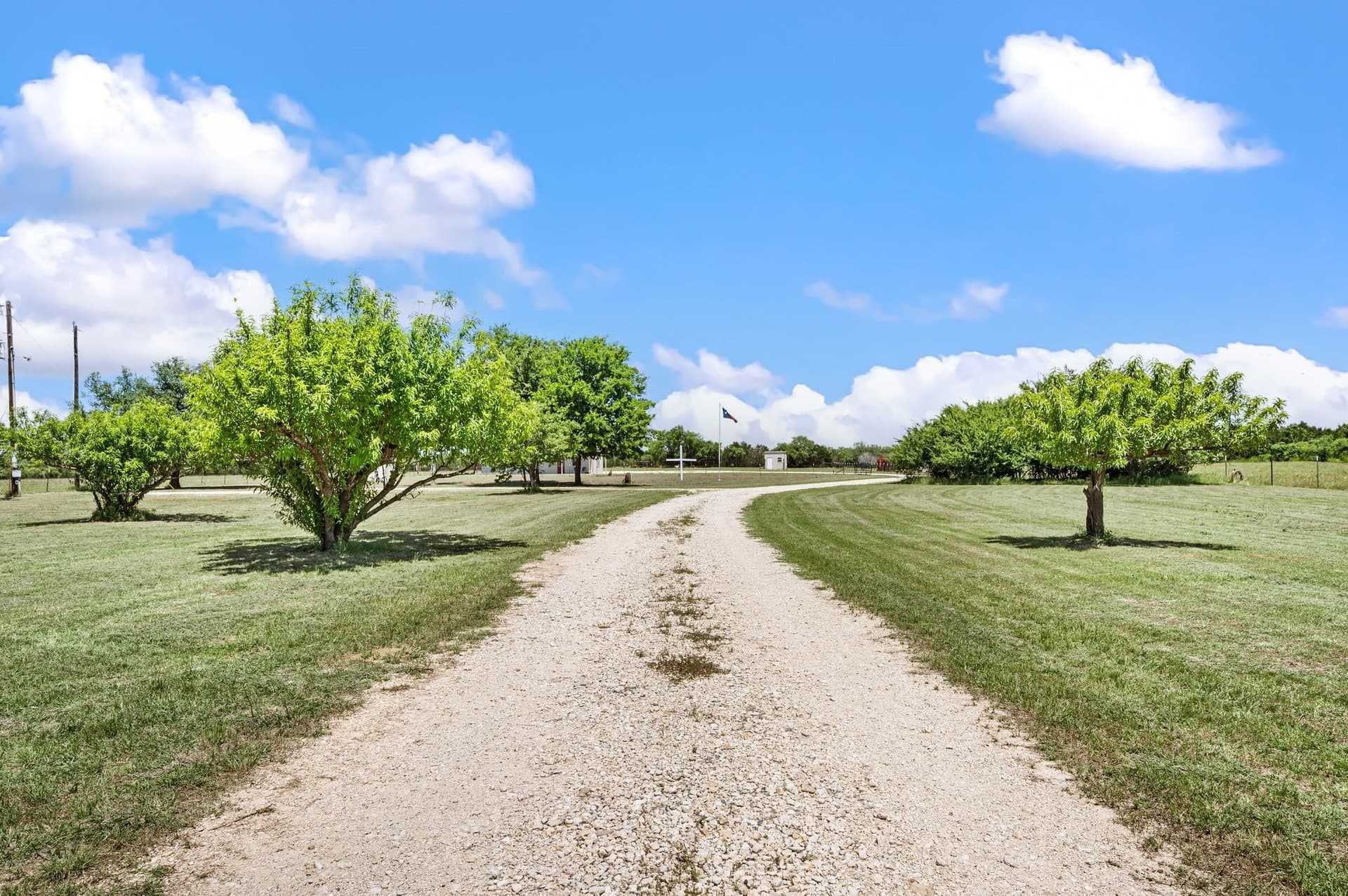 38.94 acres in Bosque County gallery image 3