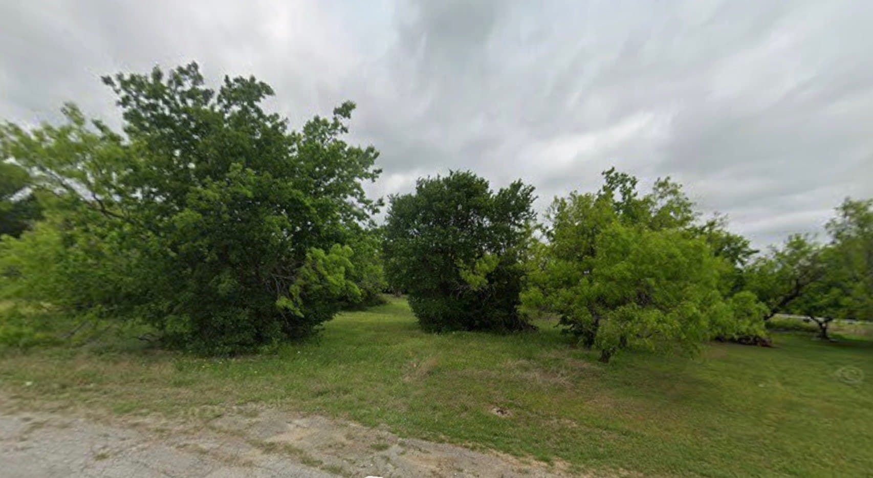 0.3 acres in Wise County - photo 3