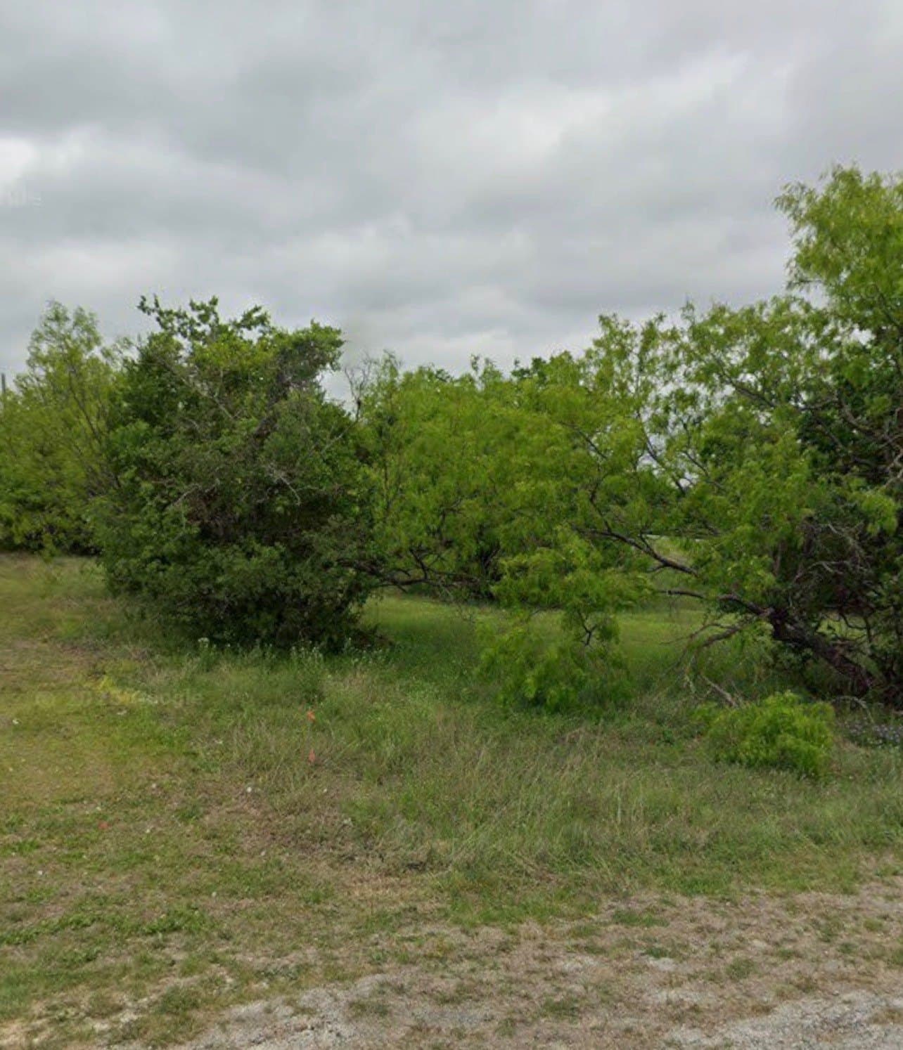 0.3 acres in Wise County - photo 2