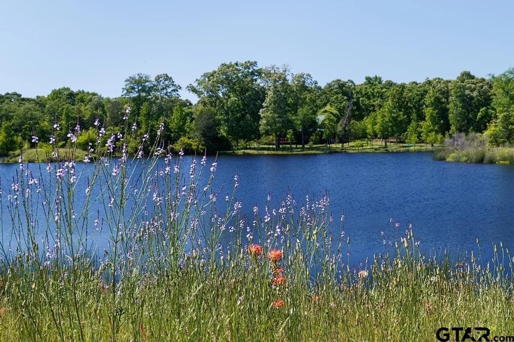 0.75 acres in Anderson County featured view