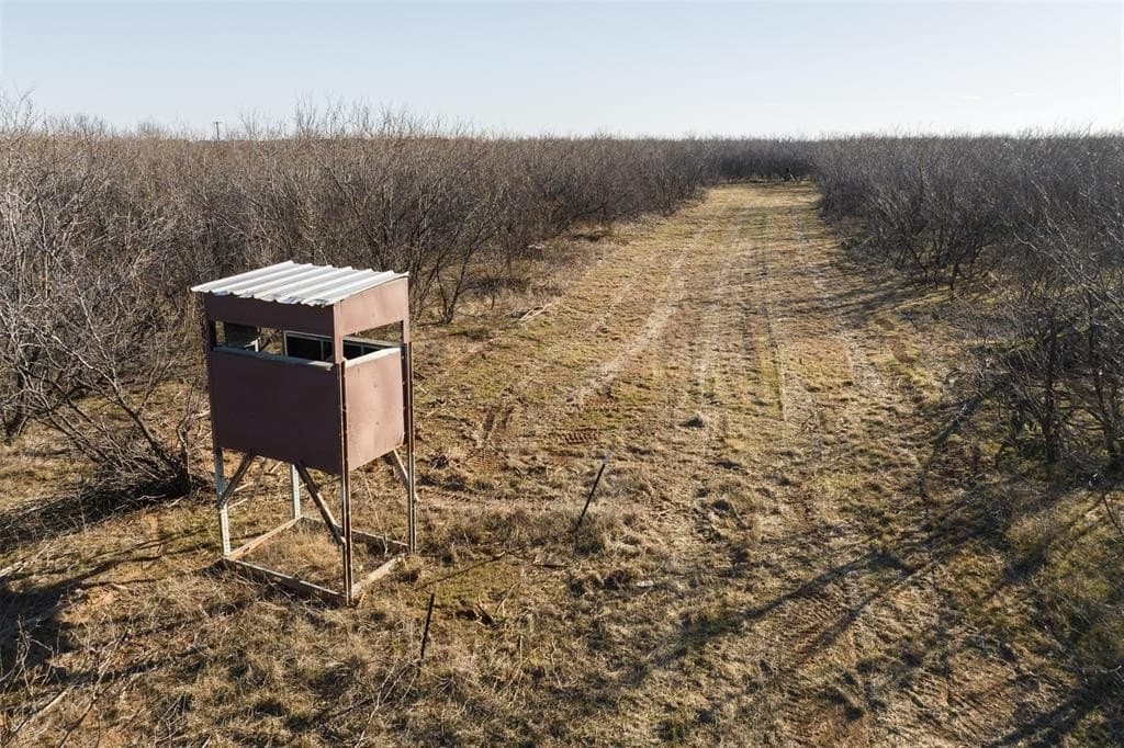 63.09 acres in Archer County gallery image 2