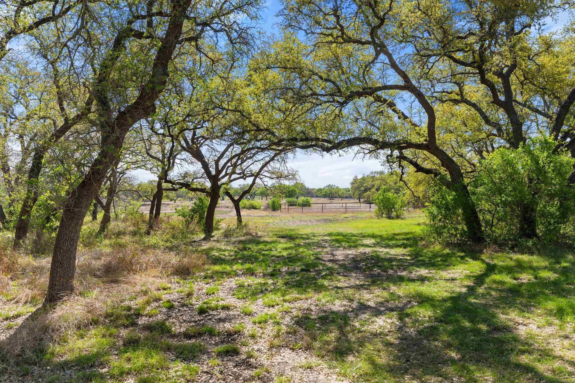 25 acres in Blanco County featured view