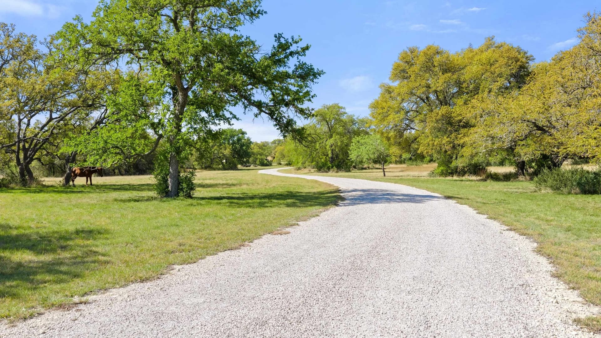 25 acres in Blanco County - photo 19