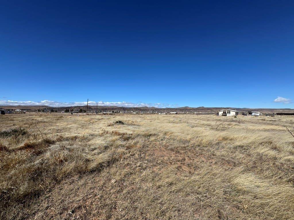 1.03 acres in Jeff Davis County gallery image 3