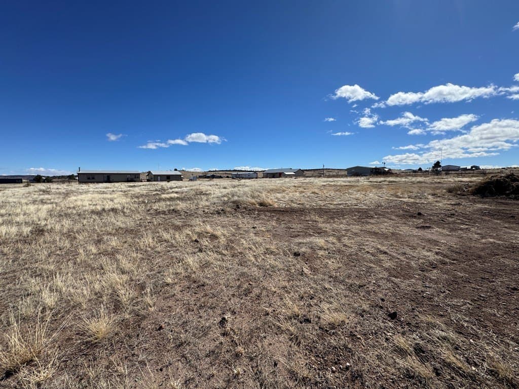 1.03 acres in Jeff Davis County - photo 7